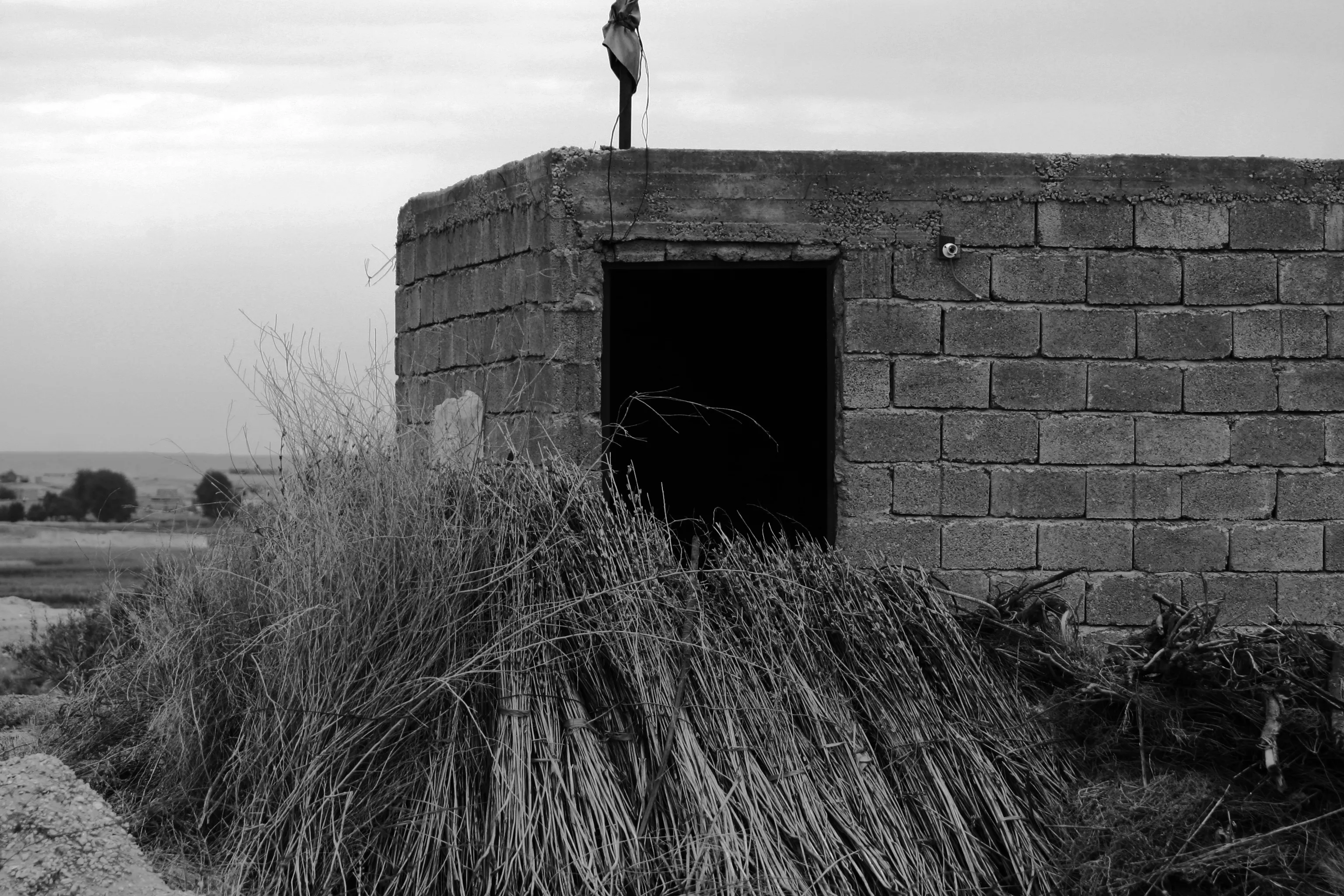 A weathered concrete block structure with a dark open doorway is partly covered by tall dry grass.