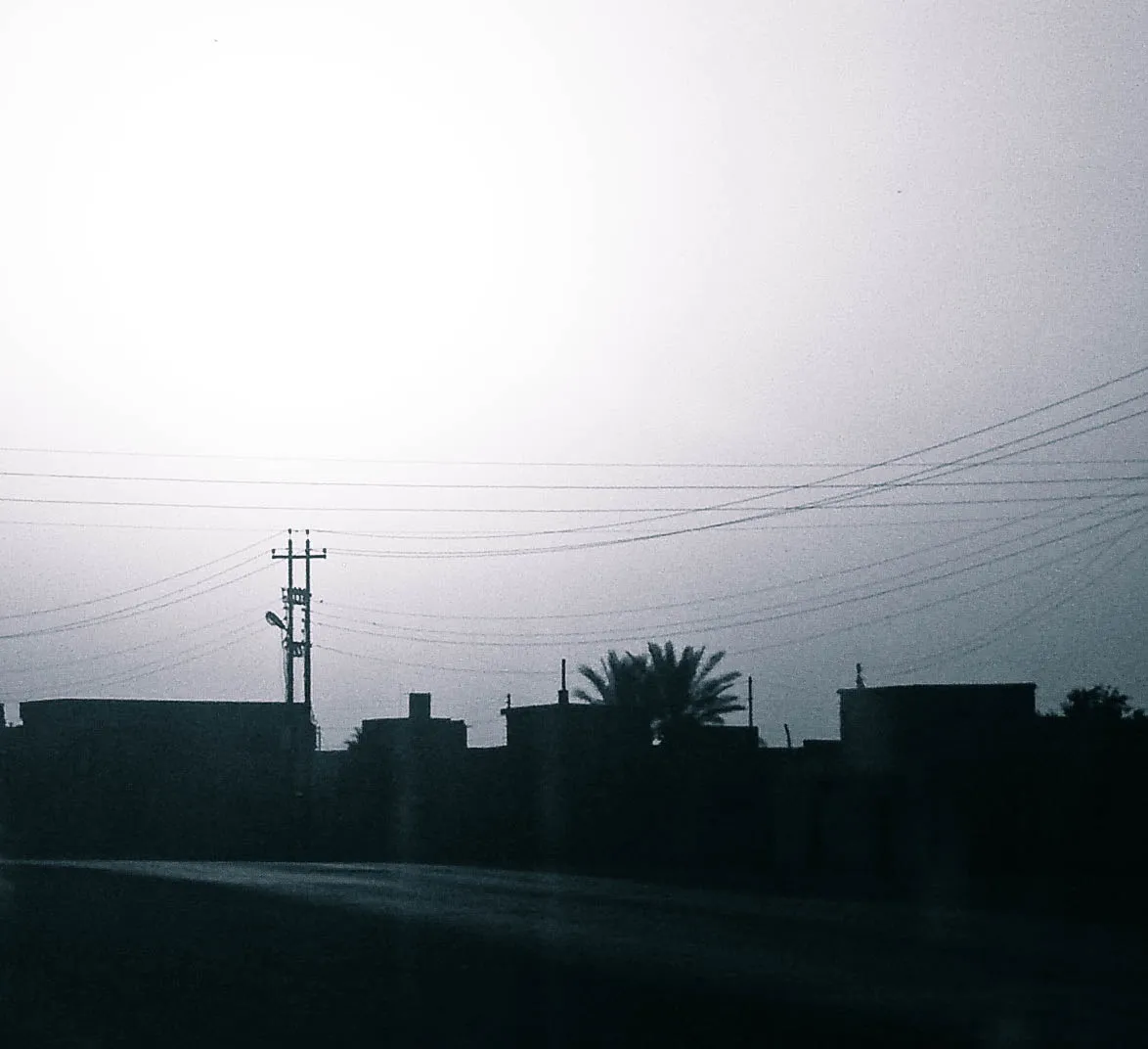 Utility wires cross above low dark buildings and a palm tree against a pale dusk sky.