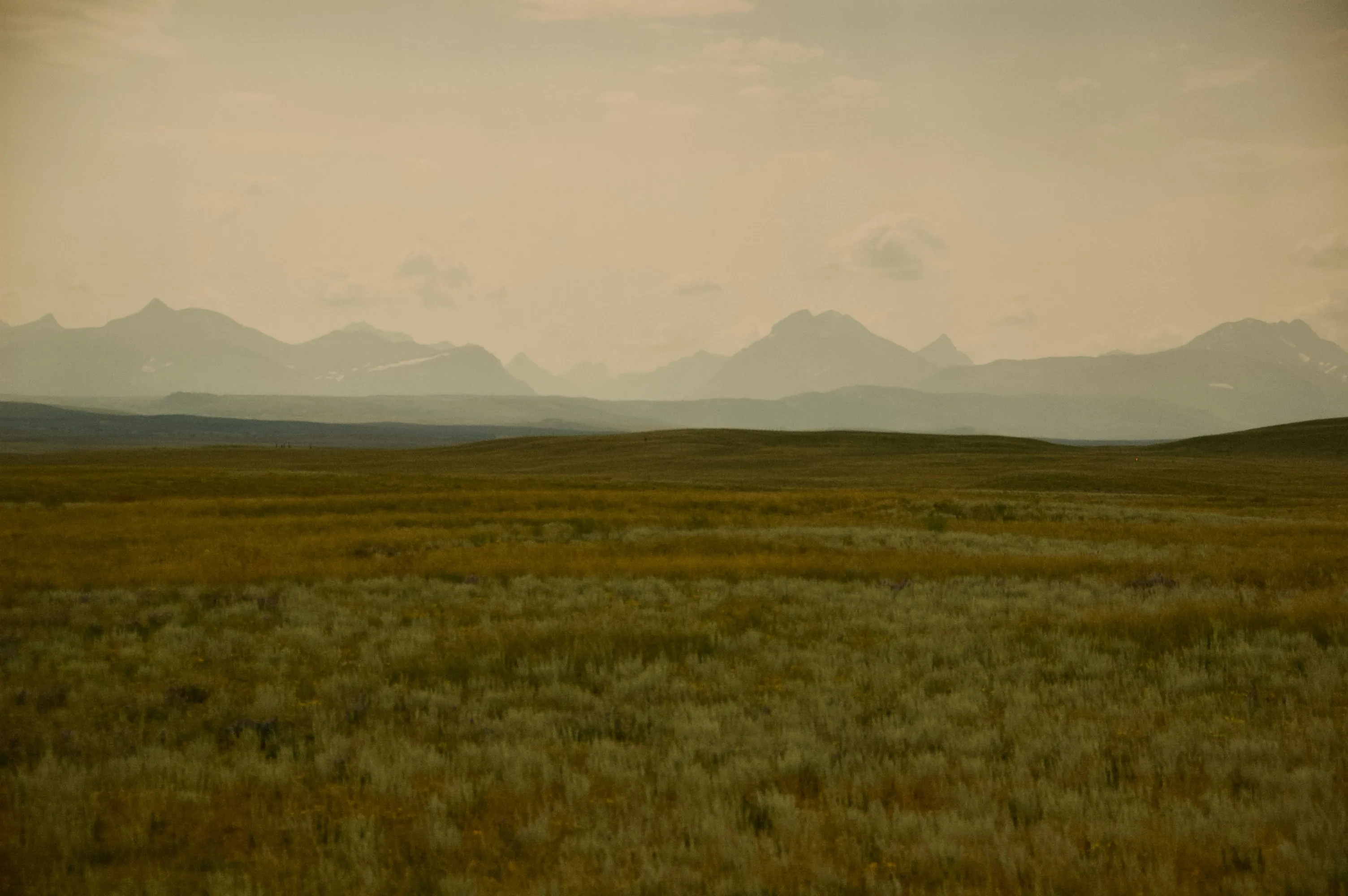 Muted view across grassy open land toward a distant, hazy range of mountains under a pale sky.