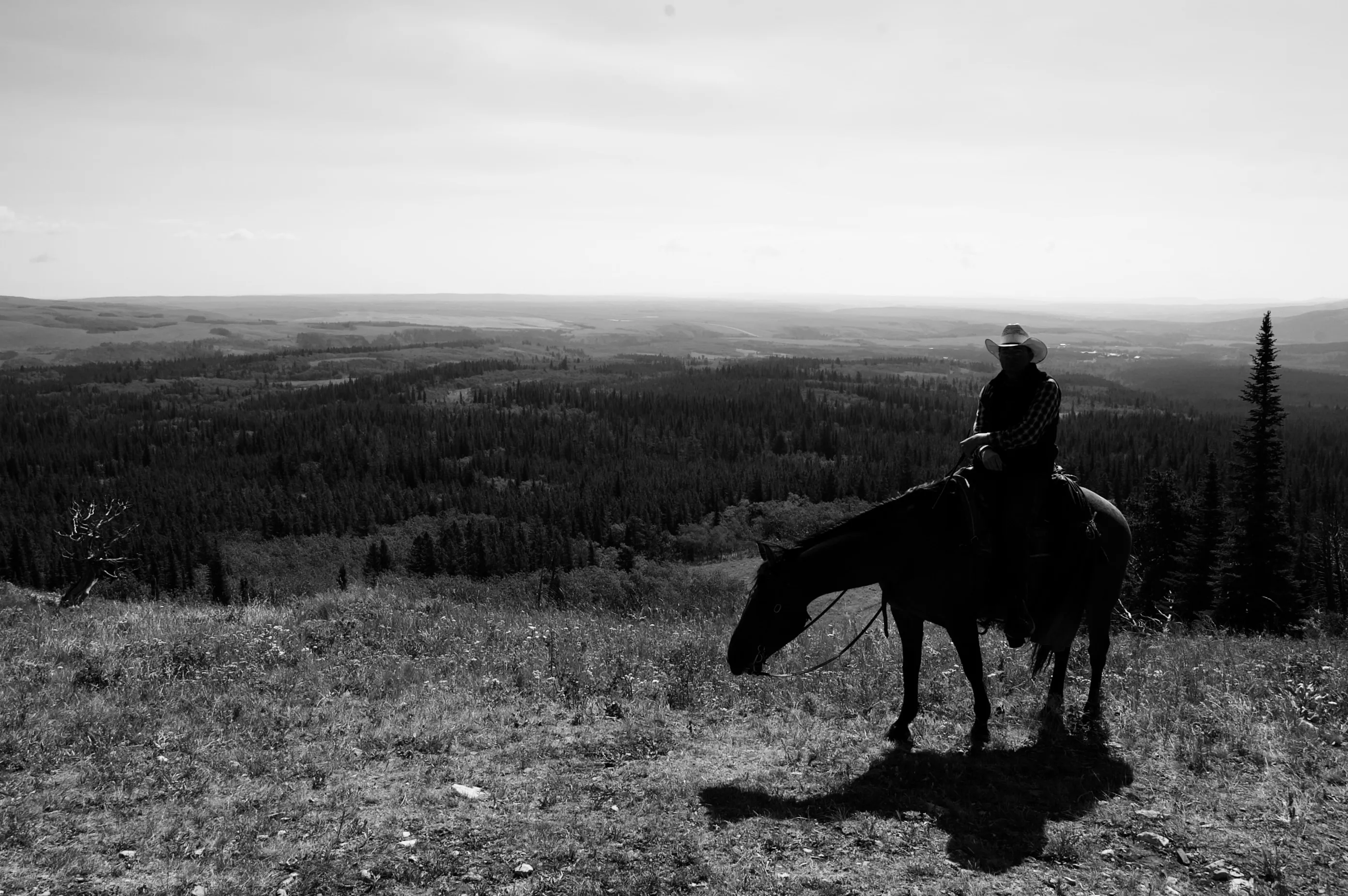 Black-and-white photograph of a person in a hat sitting on a horse at a grassy overlook above a broad forested landscape.