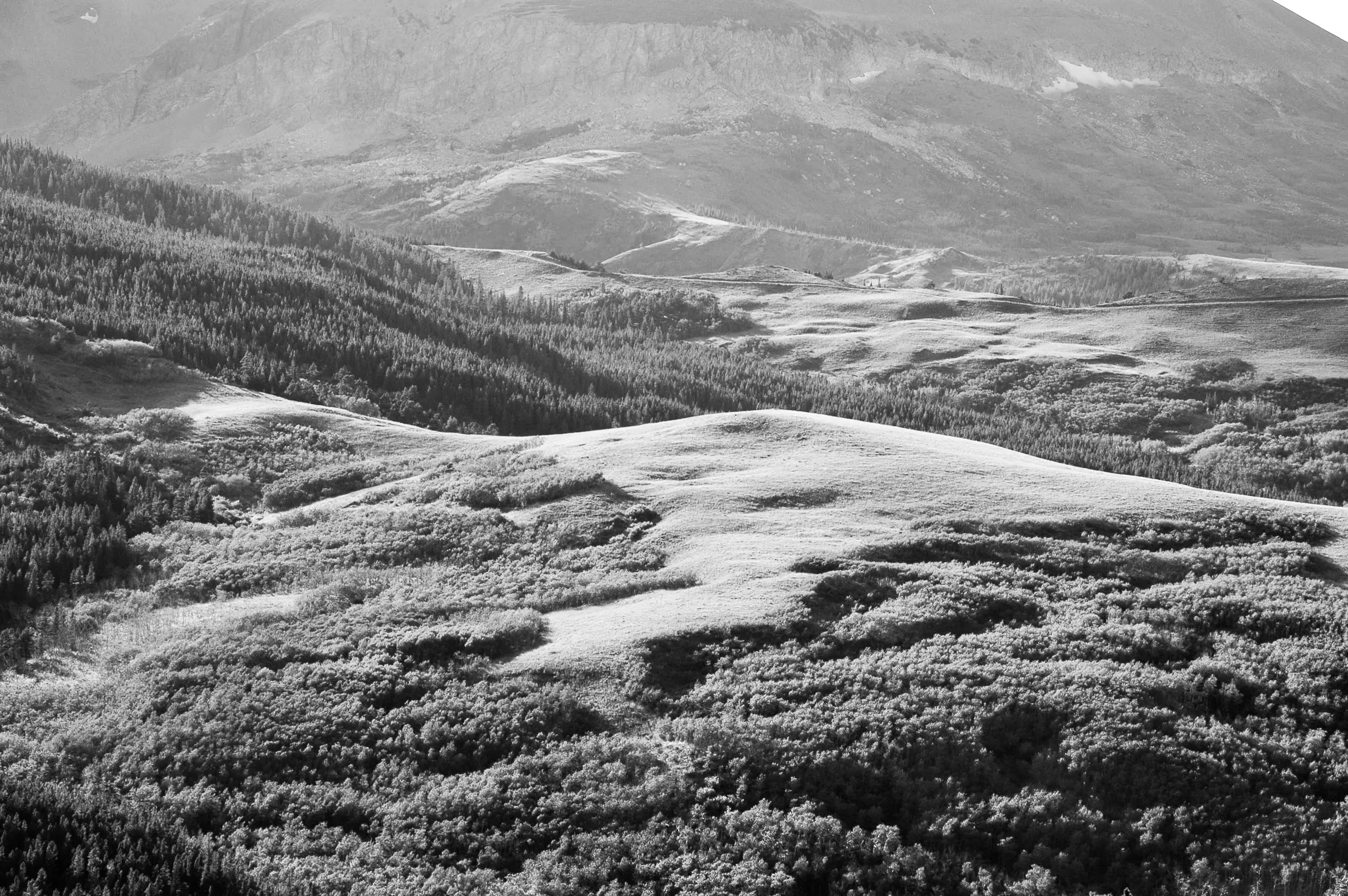 Black-and-white landscape of rounded alpine terrain, dense conifer forest, and distant mountains.