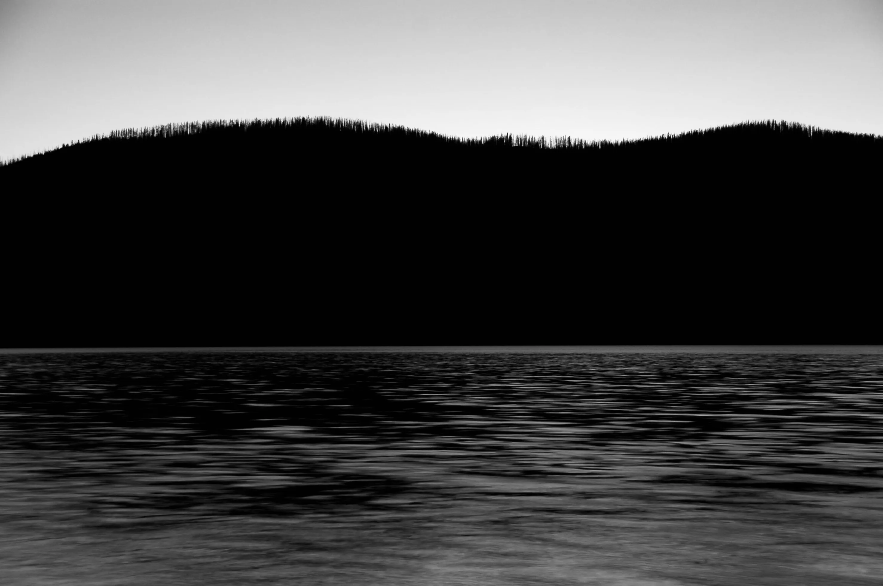 A dark ridge of trees stretches above rippling water in a minimalist black-and-white landscape.