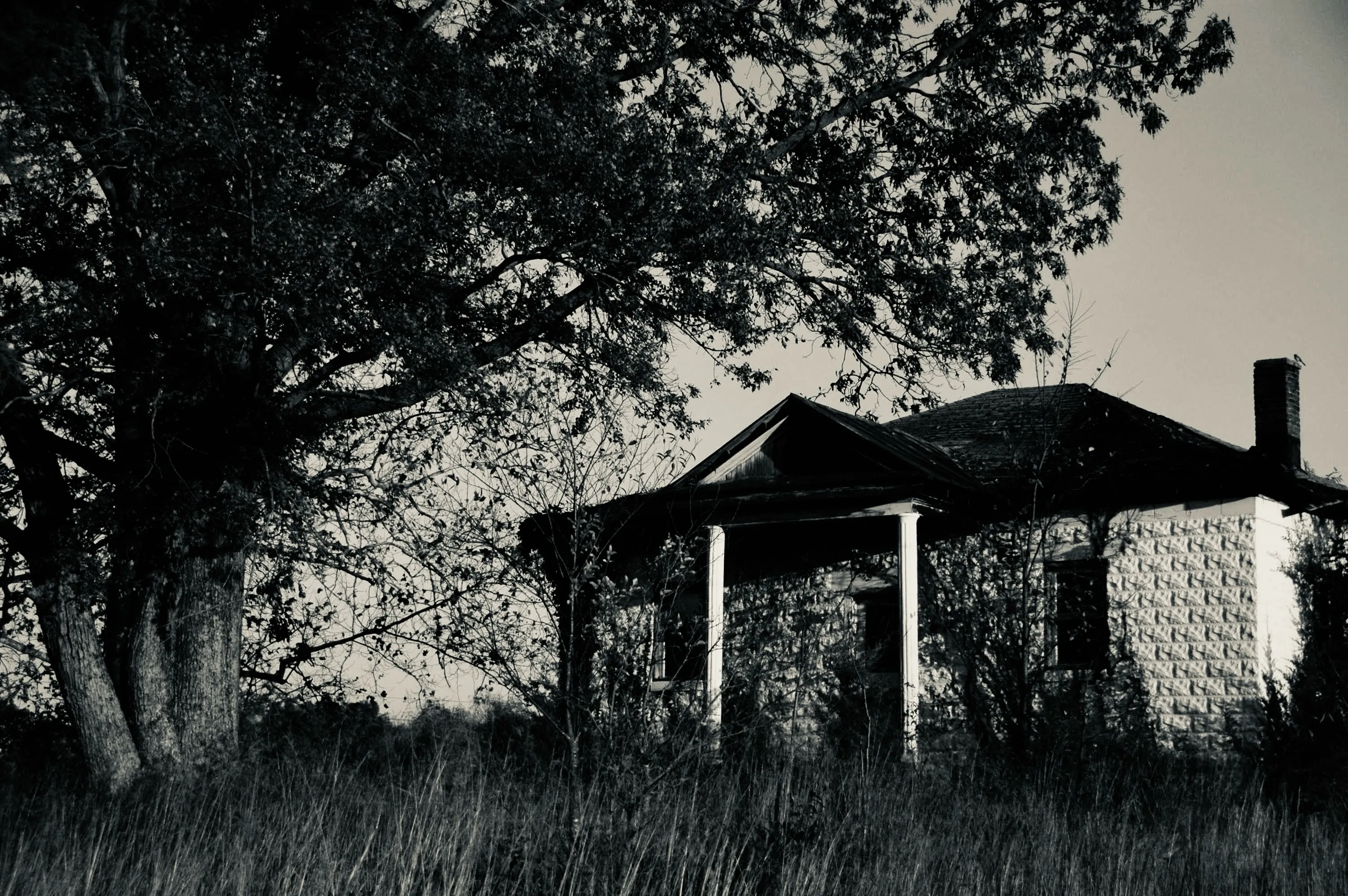 Black-and-white photograph of an overgrown house with a small porch beneath a large tree.
