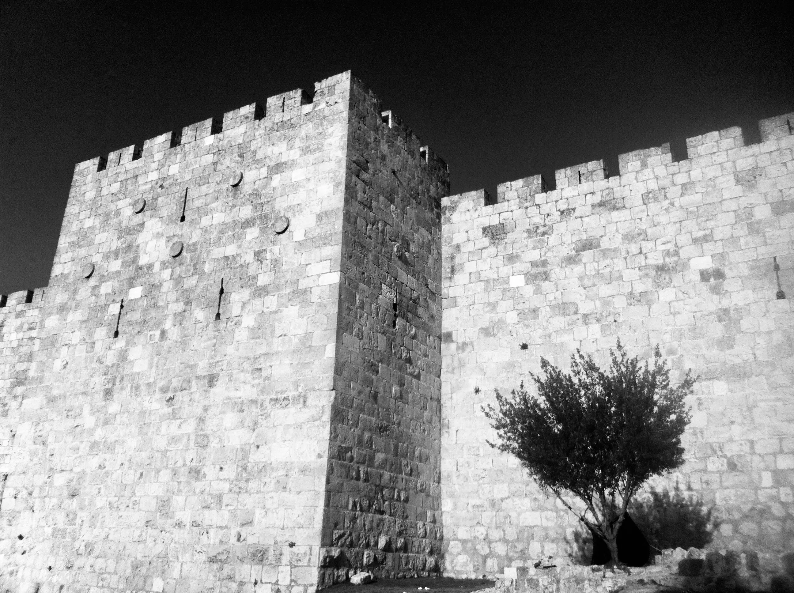 Black-and-white view of a tall stone fortification wall with crenellations and a small tree at its base.