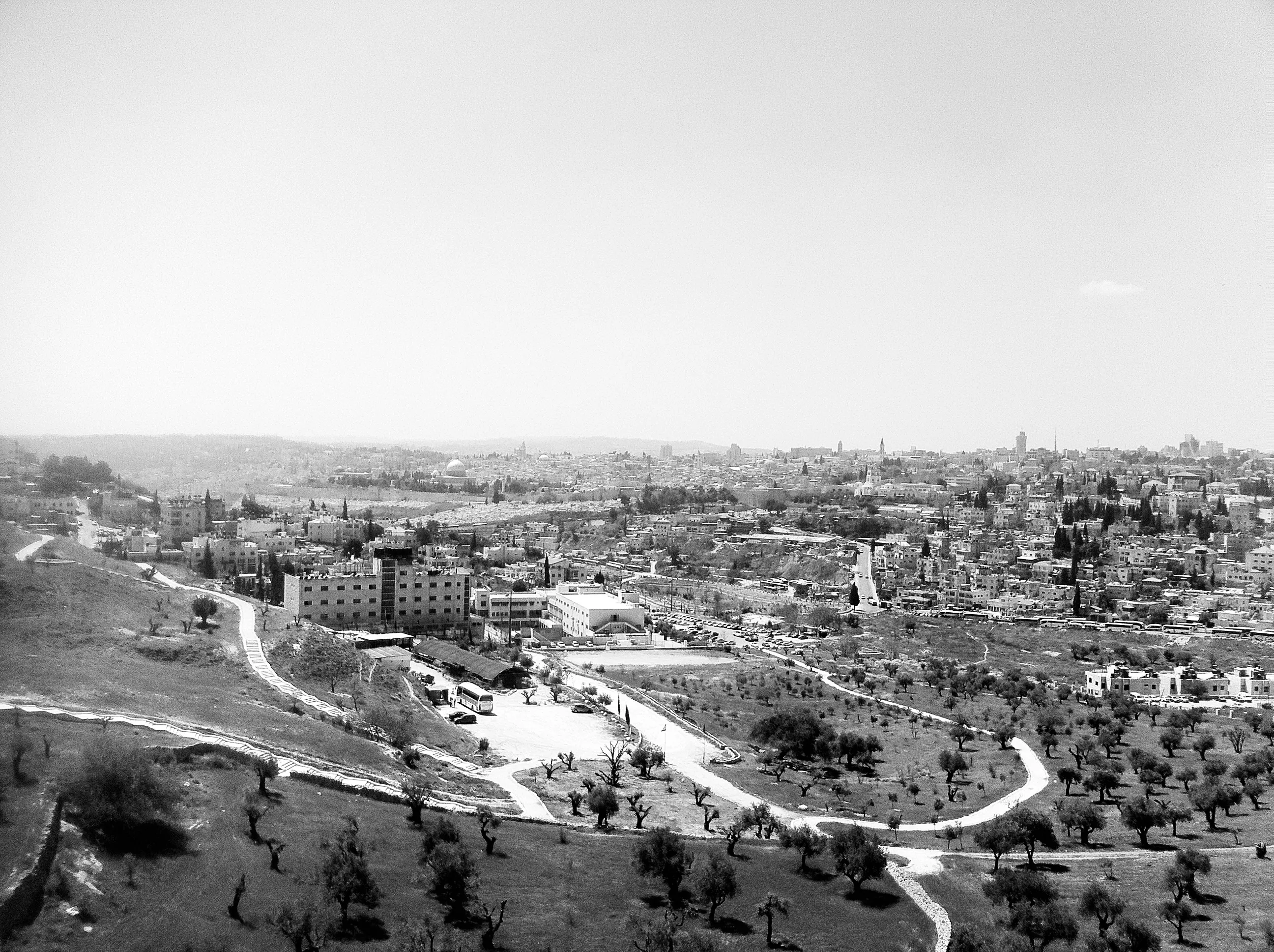 Black-and-white panorama of a city spread across hills, with winding roads and olive trees in the foreground.