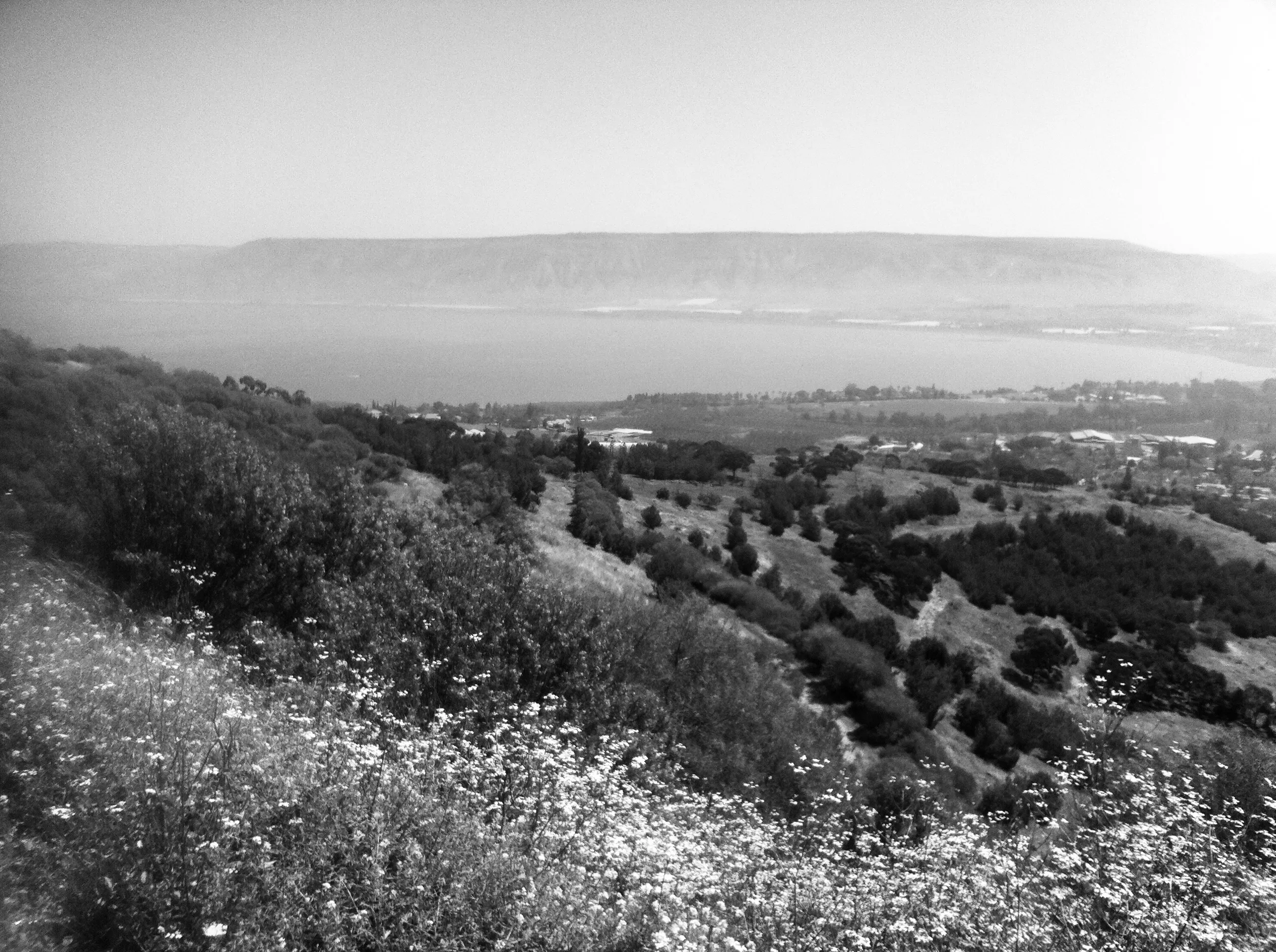 Black-and-white view across a grassy hillside with small wildflowers toward water and a broad distant plateau.
