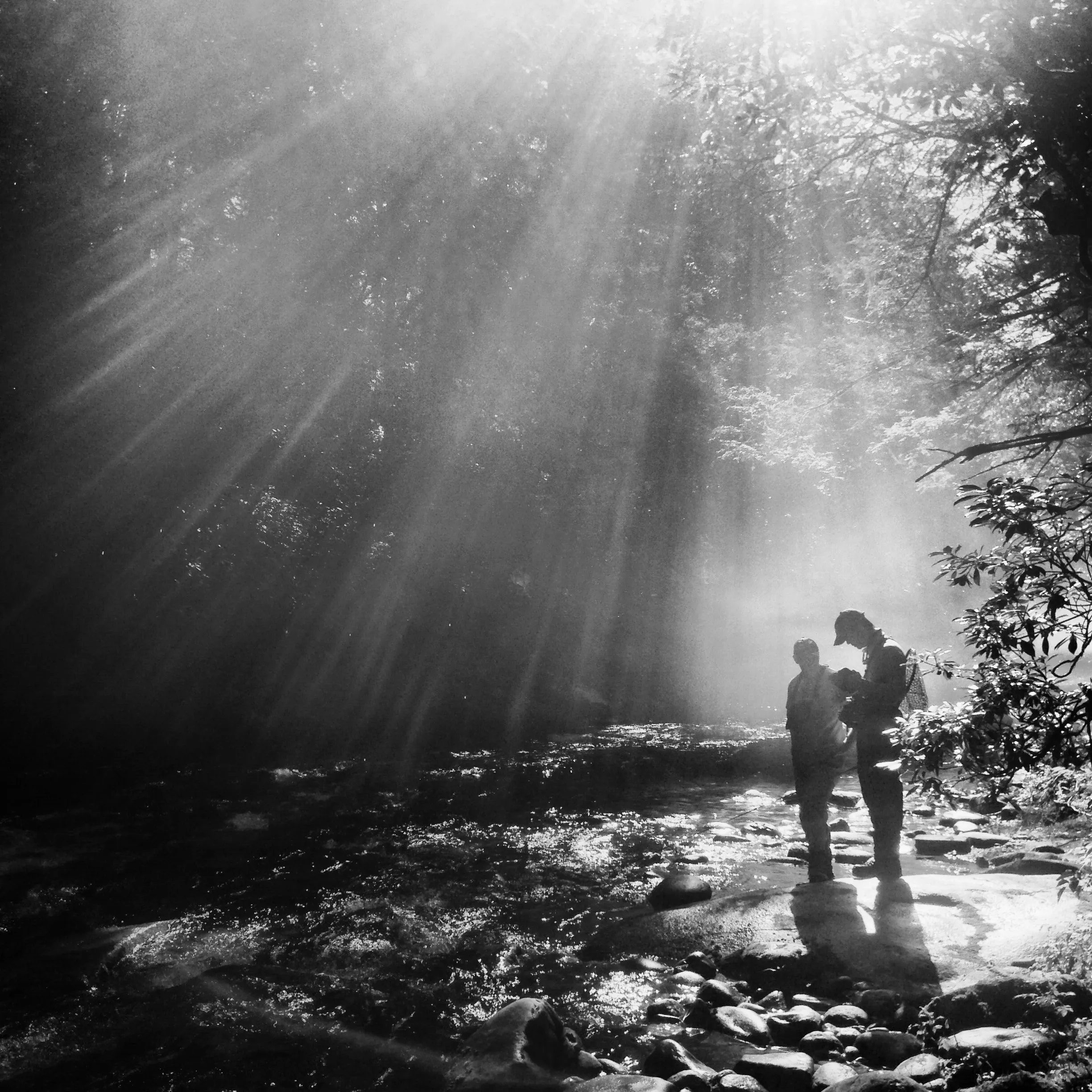 Two people stand on rocks in a shallow forest stream as sunbeams shine through the trees in black and white.