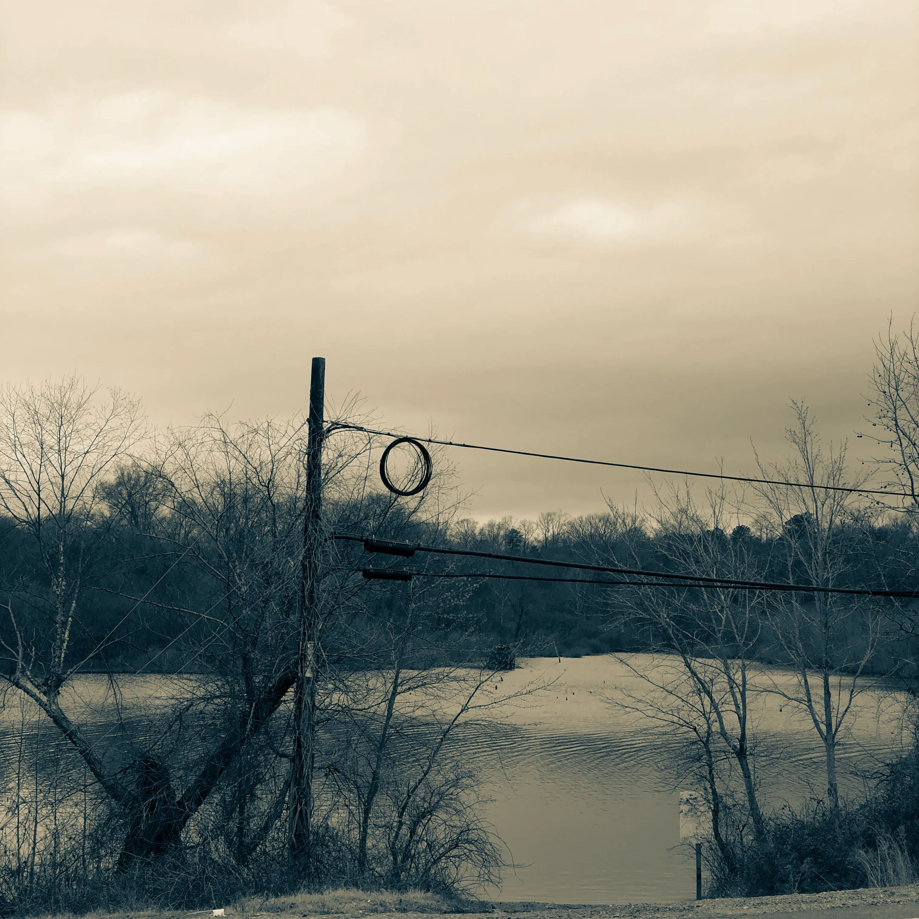 A utility pole with a looped cable and power lines stands above a pond bordered by bare trees.