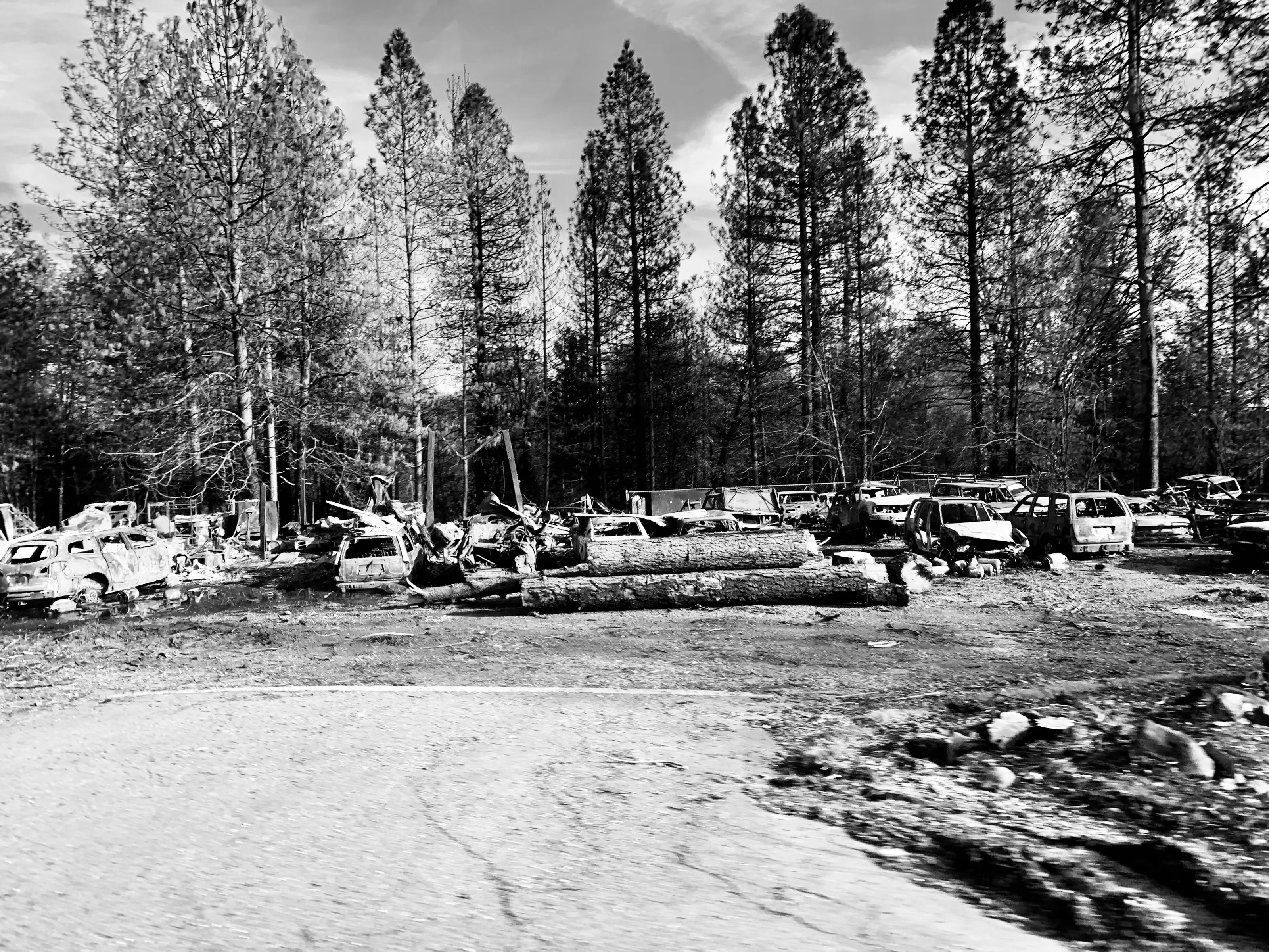 Black-and-white photograph of burned vehicles and debris beneath tall trees.