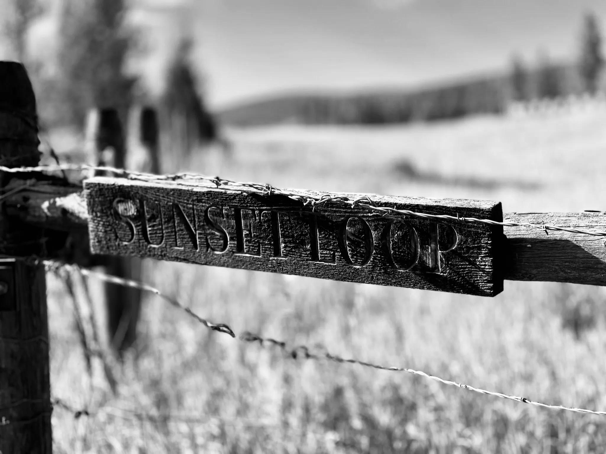 Black-and-white close-up of a weathered wooden sign on a barbed-wire fence.