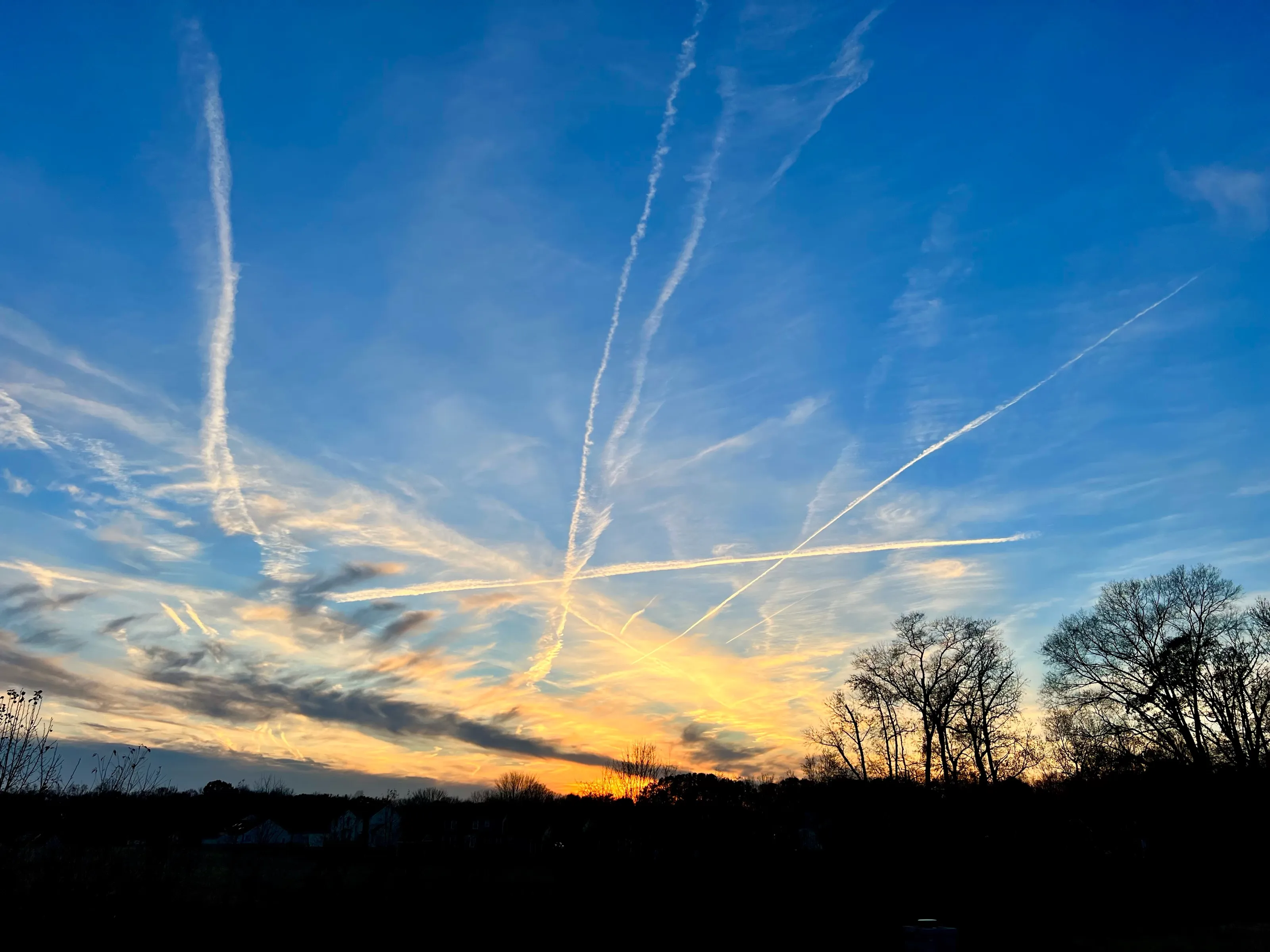 Several white contrails cross a blue sunset sky above a dark line of leafless trees.