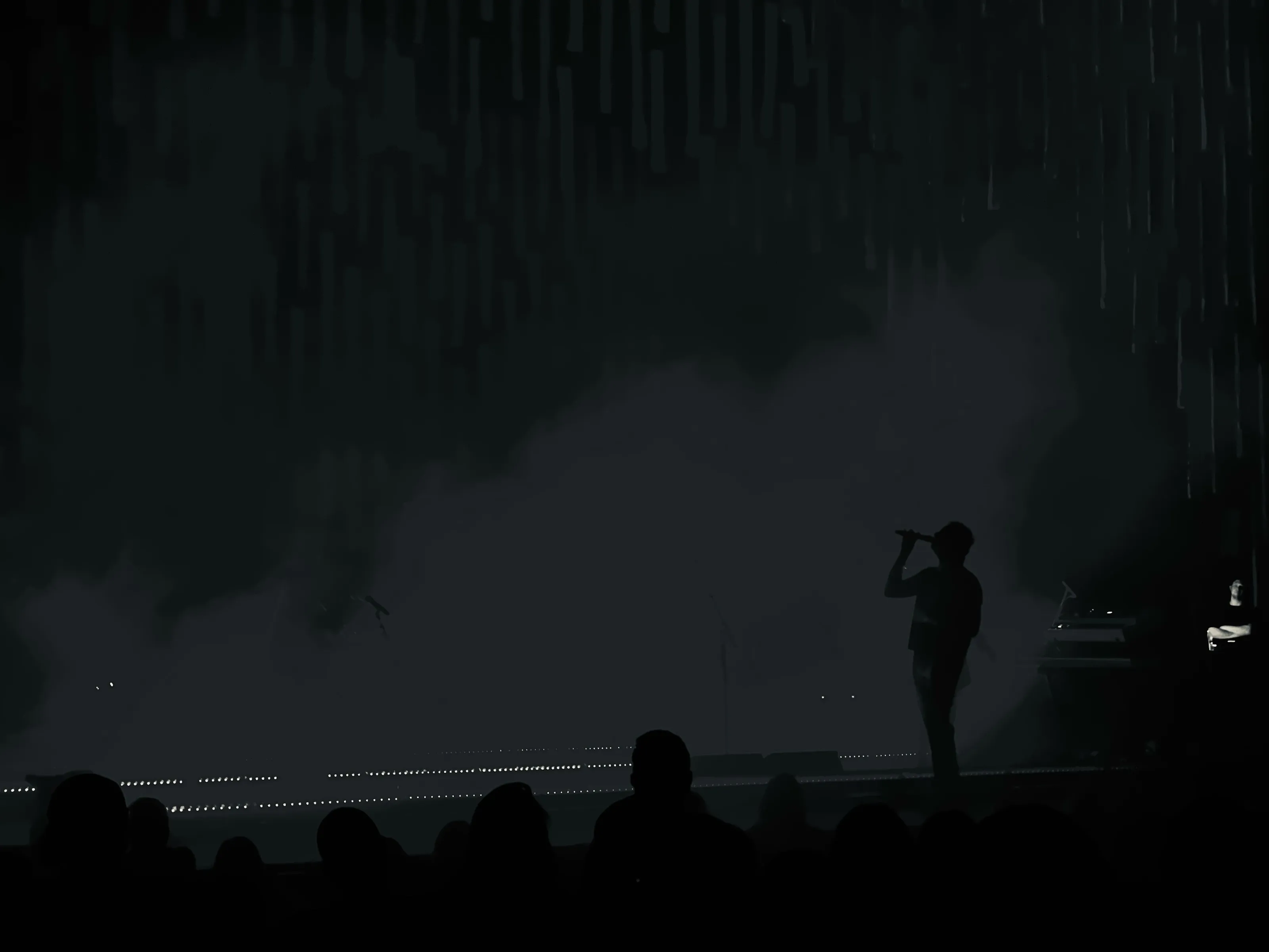 A silhouetted singer holding a microphone on a very dark stage, with audience heads along the bottom edge.