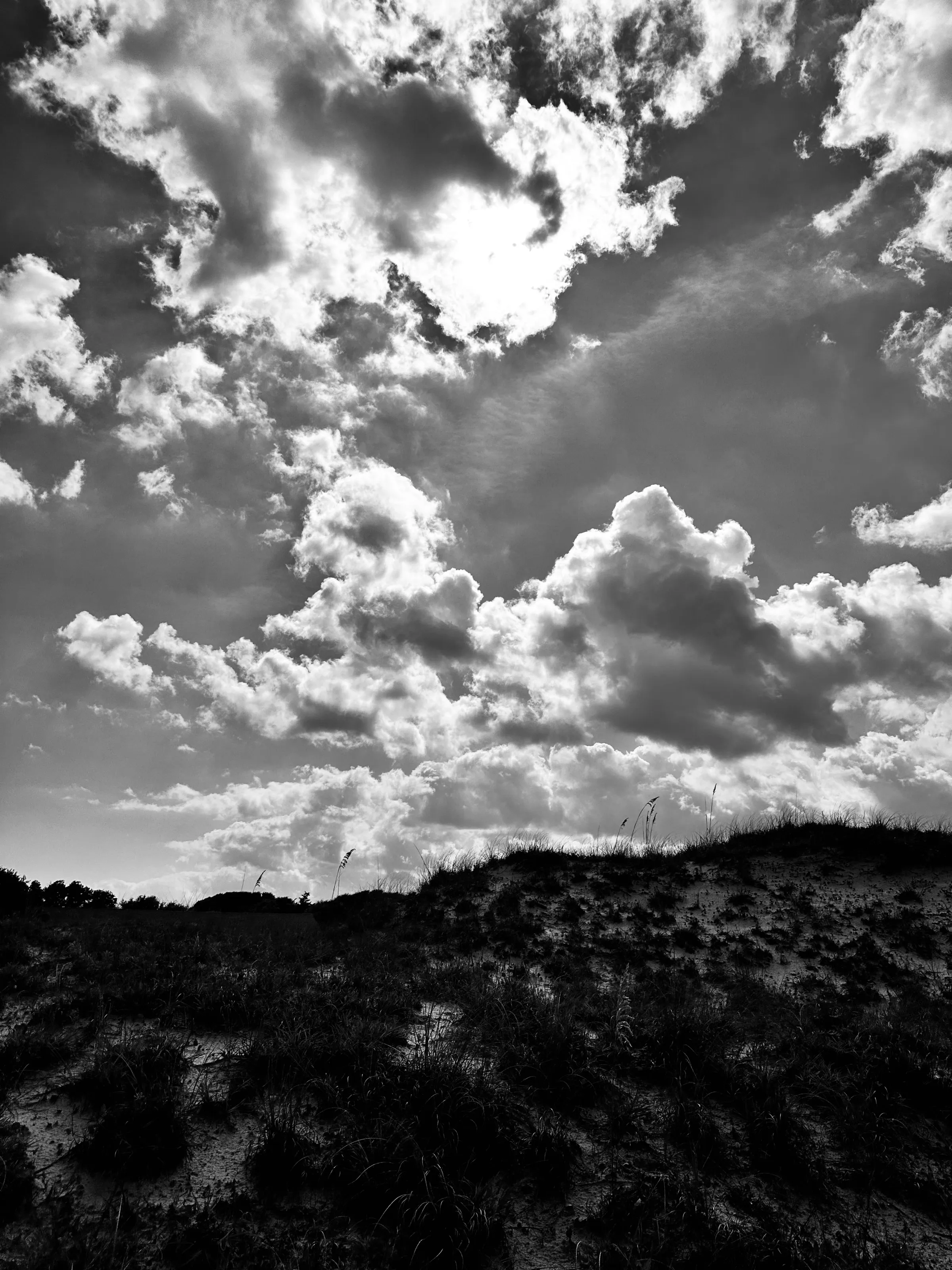 Black-and-white view of low sandy dunes covered with grass beneath large sunlit clouds.