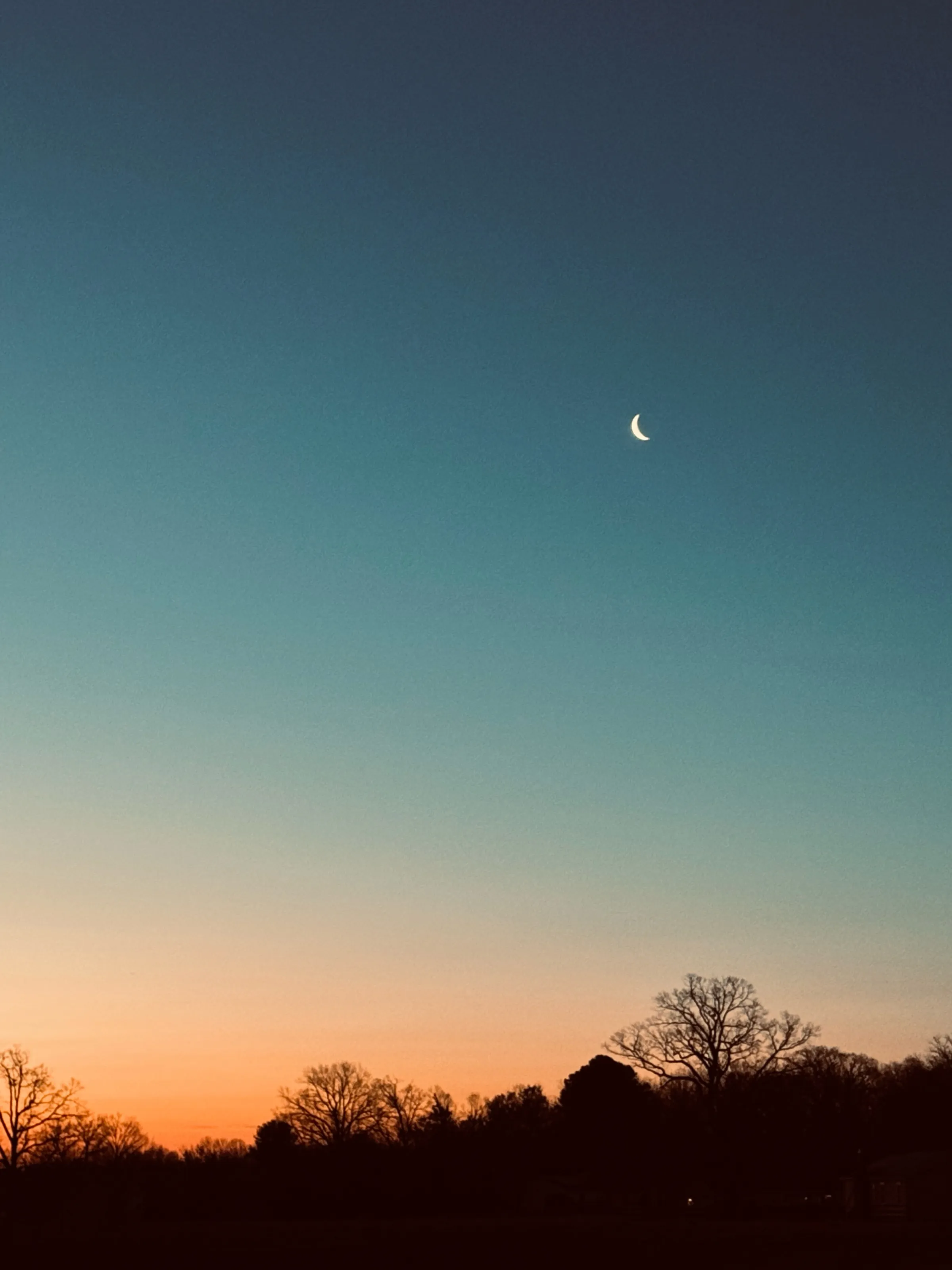 A small crescent moon in a blue-to-orange twilight sky above a dark line of leafless trees.