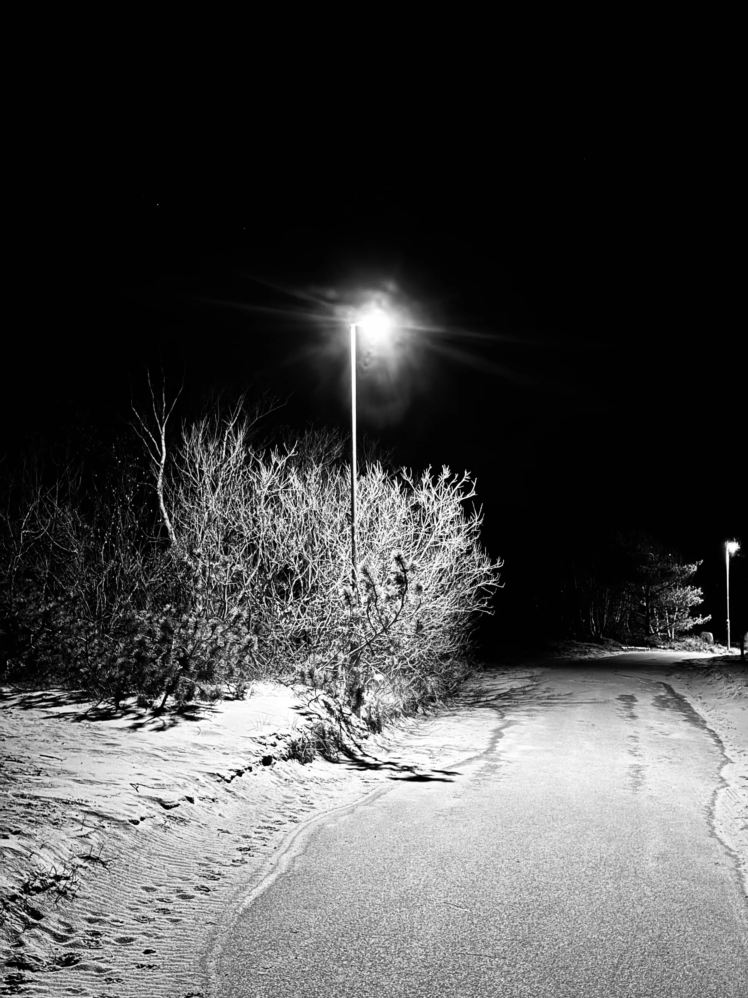 A snow-covered roadside lined with bare shrubs and two bright streetlights at night.