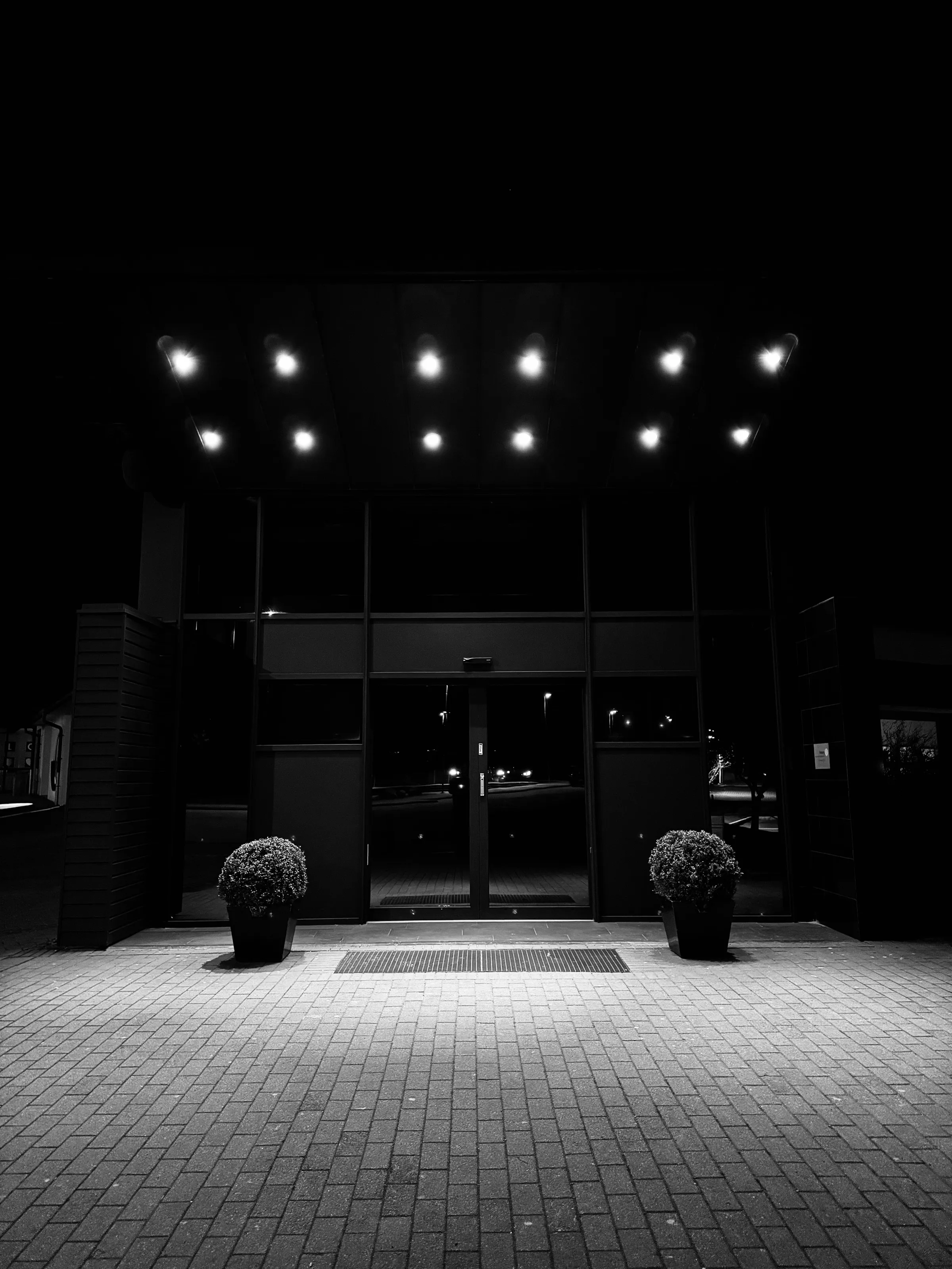 Black-and-white night photograph of a dark glass entrance with a row of overhead lights and two potted shrubs.