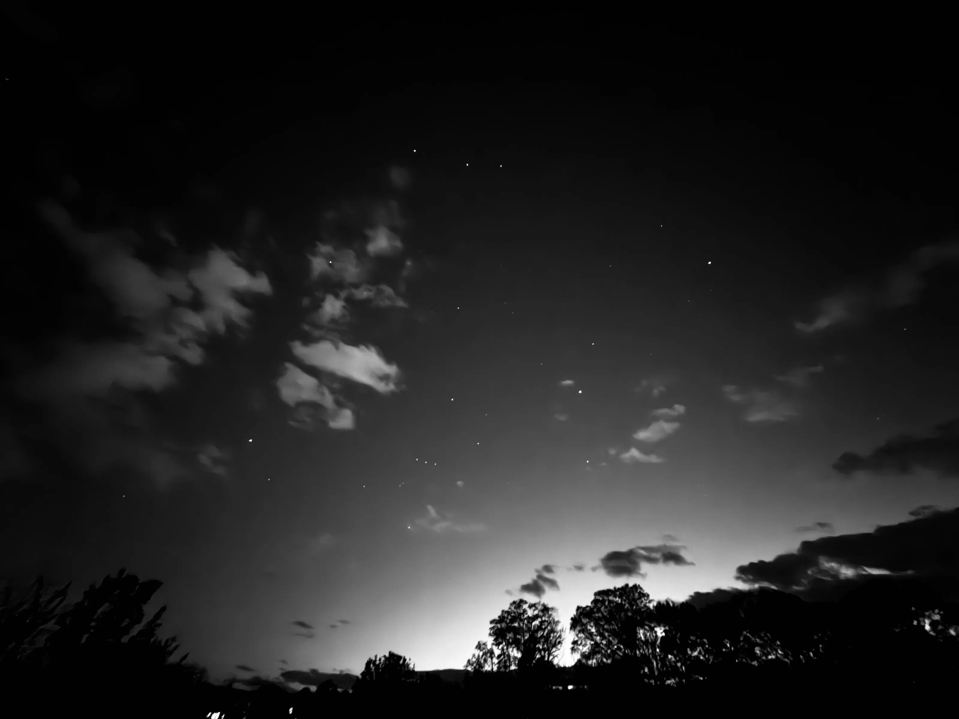 A dark tree line is silhouetted beneath a cloudy night sky with scattered stars and a glow on the horizon.