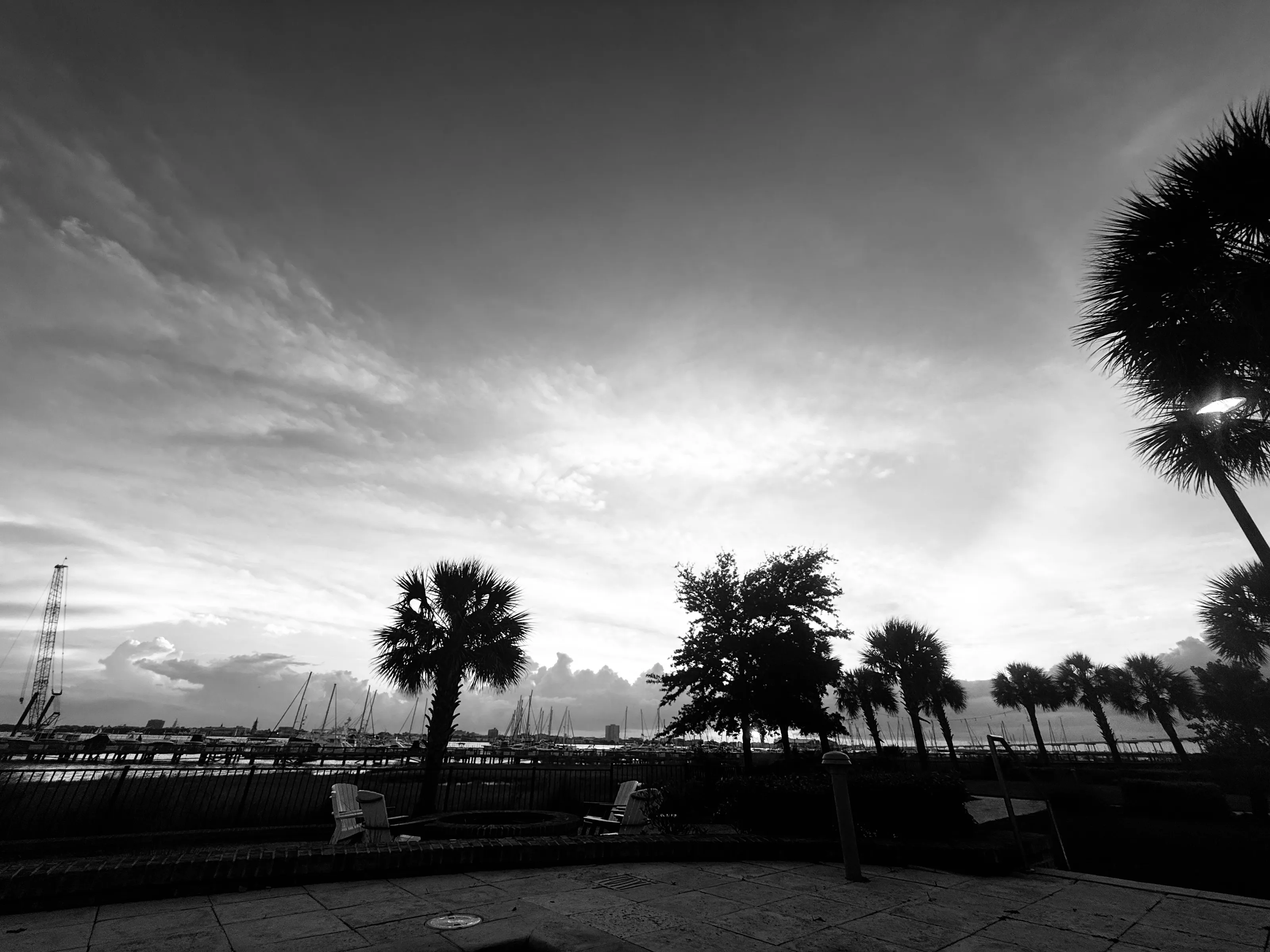 Palm-like trees and a marina silhouette stand against a bright cloudy sky above a paved foreground.