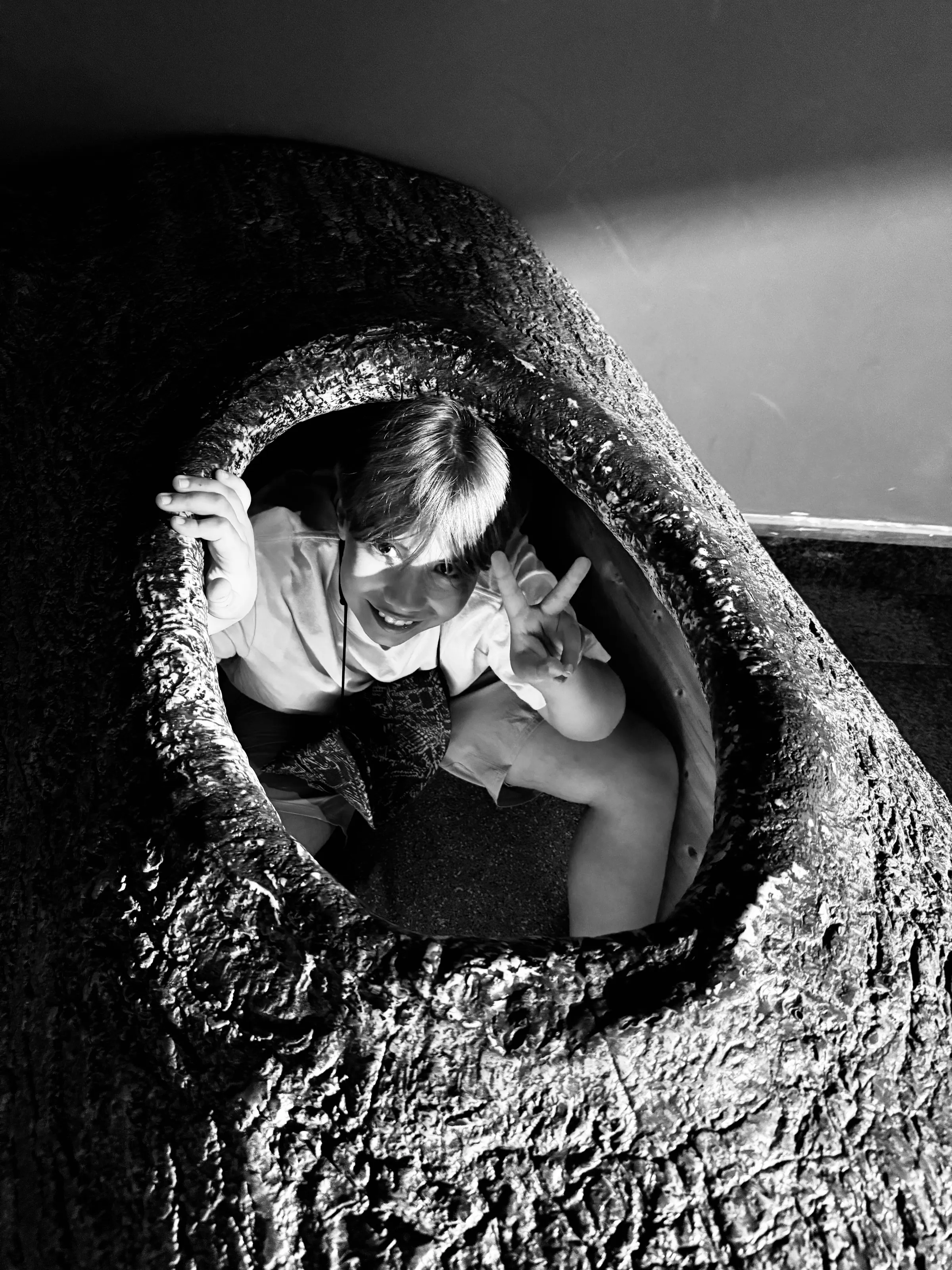 A child looks up from inside a large hollow in a tree trunk, making a hand gesture, in black and white.