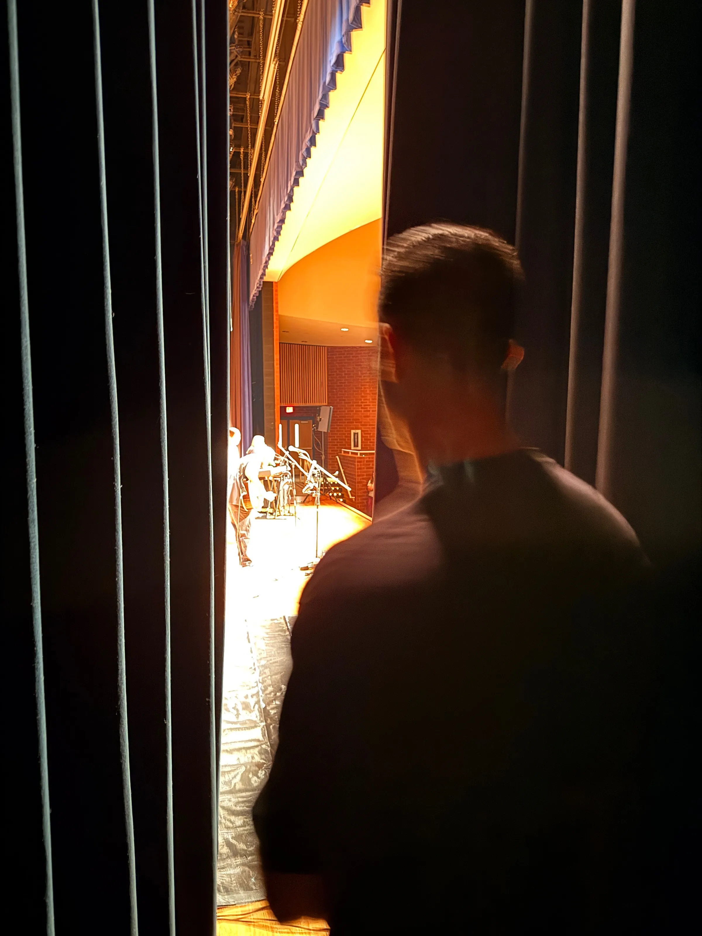 A blurred person seen from behind stands between dark theater curtains, facing a brightly lit stage with performers and microphones.