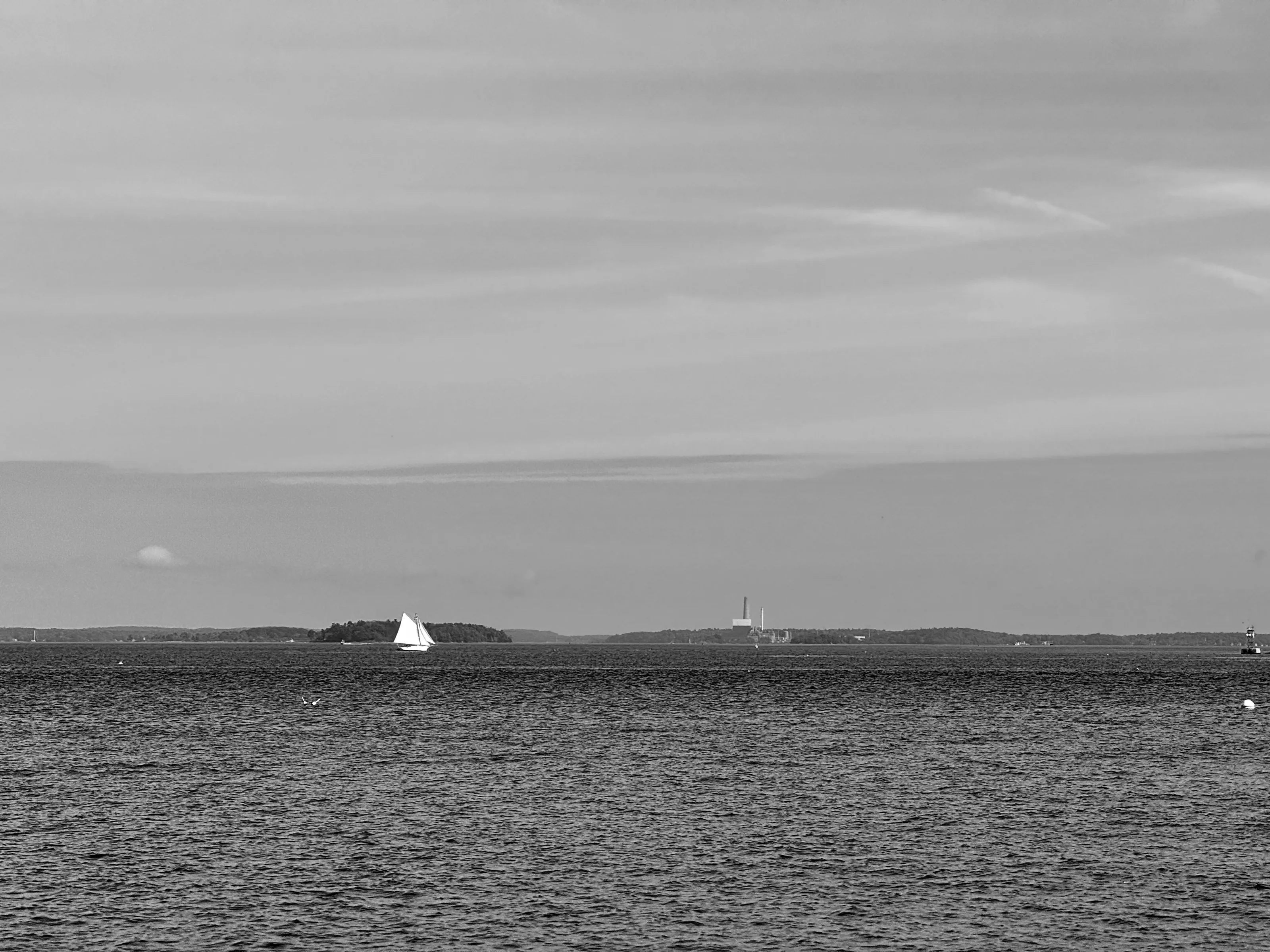 Black-and-white view of a small white sailboat on open water with a low shoreline and distant industrial structures.
